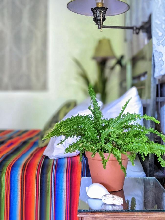 Seaside Inn Roatan ウェスト・ベイ エクステリア 写真