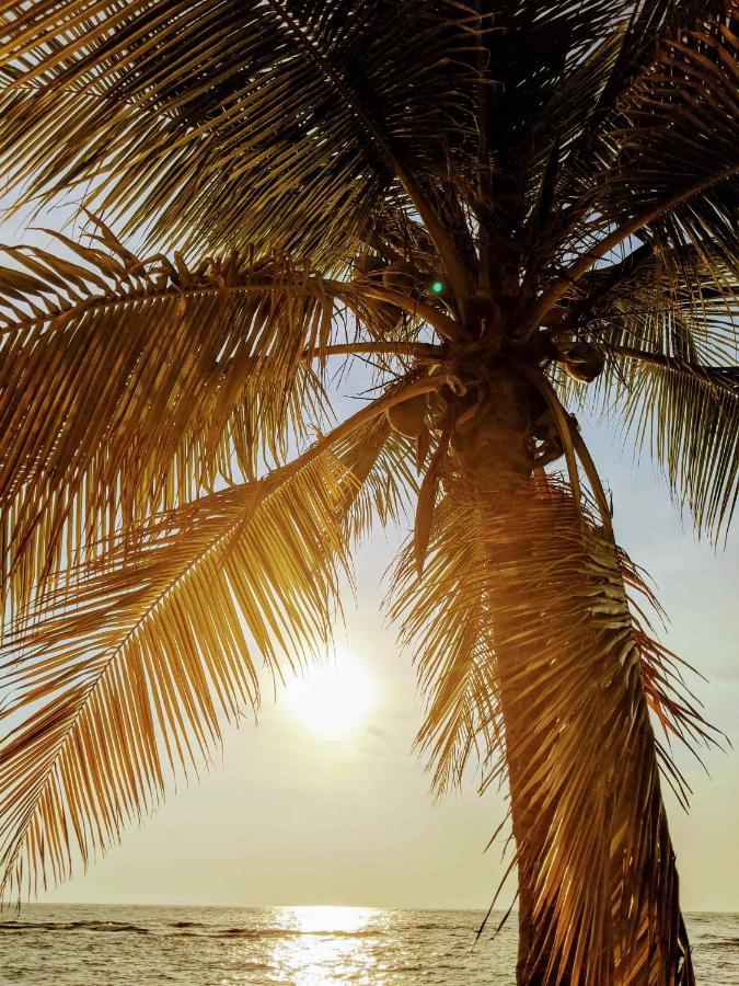 Seaside Inn Roatan ウェスト・ベイ エクステリア 写真