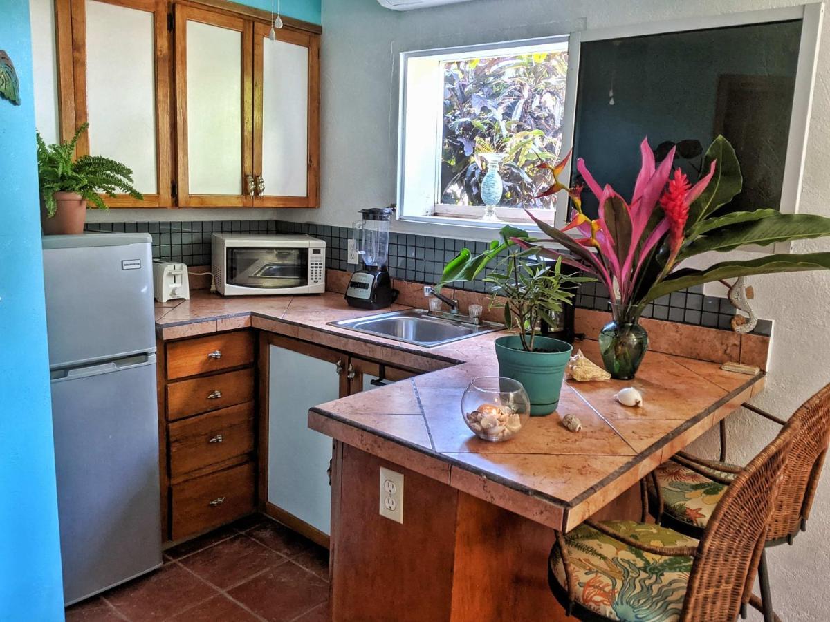 Seaside Inn Roatan ウェスト・ベイ エクステリア 写真
