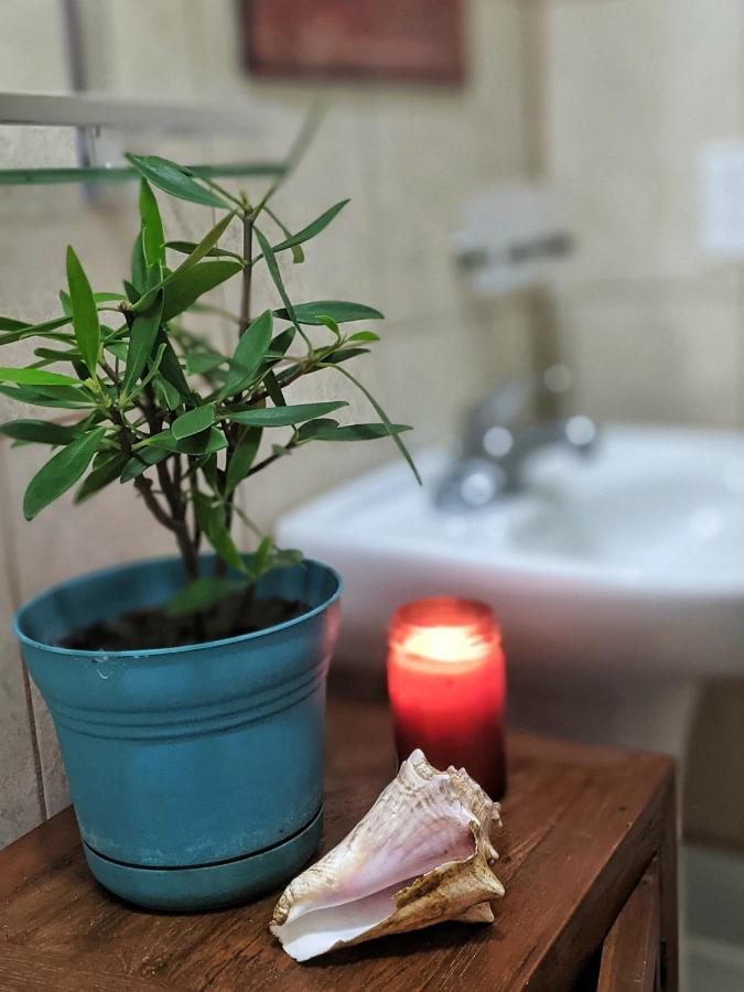 Seaside Inn Roatan ウェスト・ベイ エクステリア 写真