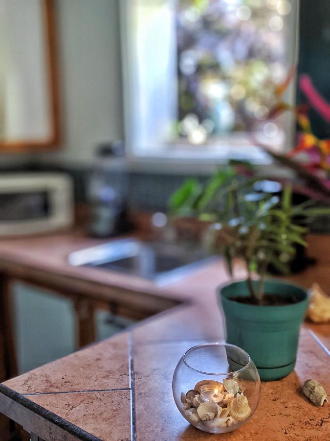 Seaside Inn Roatan ウェスト・ベイ エクステリア 写真